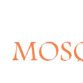Logo banniere